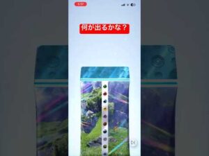 95706-YUmtFmiv_l4